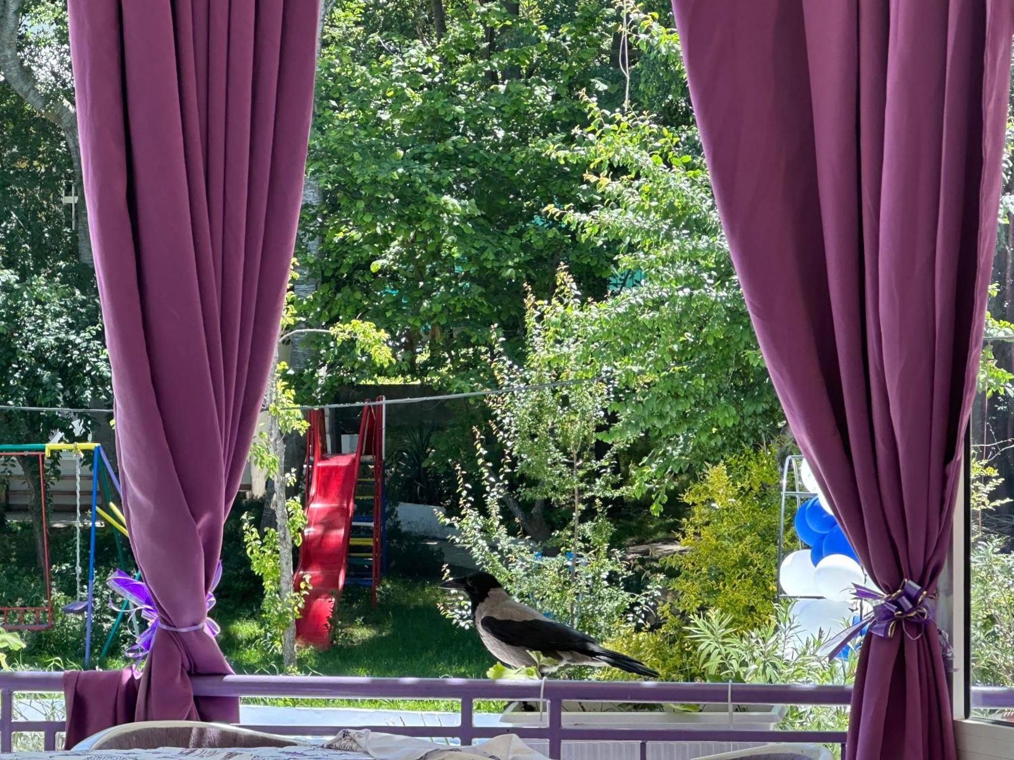 Apartment парк-хотел рива